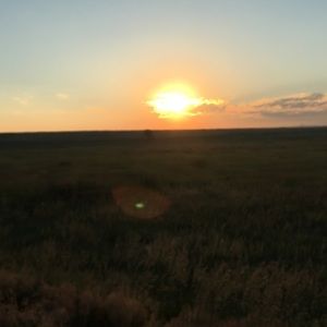 Meet your Posher, Austin